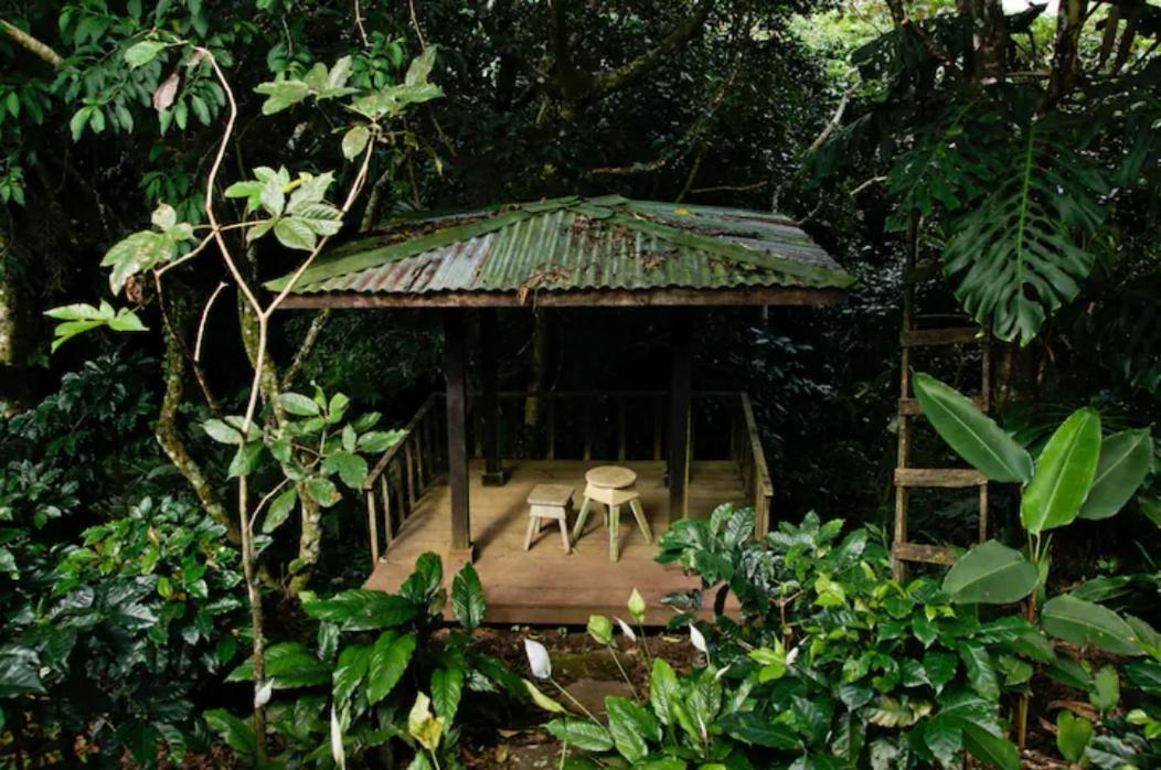 Coffee Garden Ranch Costa Rica Διαμέρισμα Concepcion  Εξωτερικό φωτογραφία