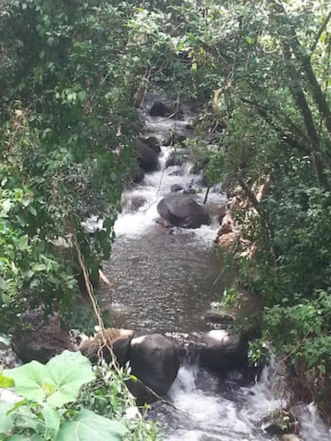Coffee Garden Ranch Costa Rica Διαμέρισμα Concepcion  Εξωτερικό φωτογραφία