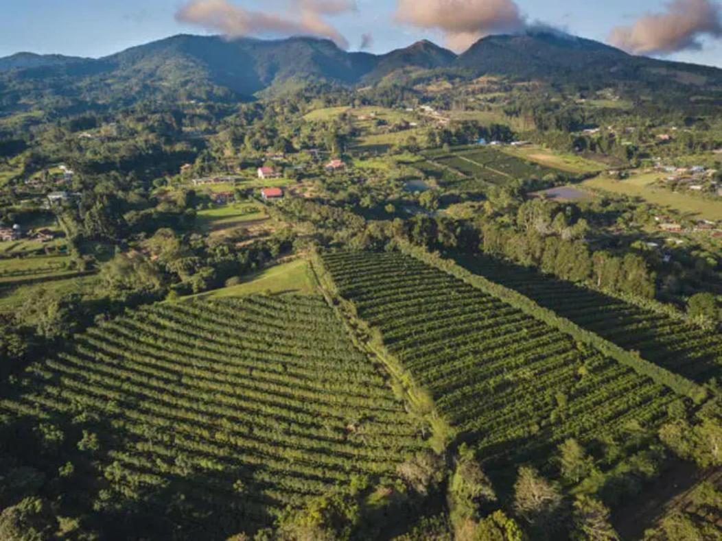 Coffee Garden Ranch Costa Rica Διαμέρισμα Concepcion  Εξωτερικό φωτογραφία