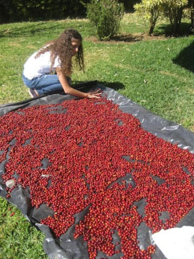 Coffee Garden Ranch Costa Rica Διαμέρισμα Concepcion  Εξωτερικό φωτογραφία