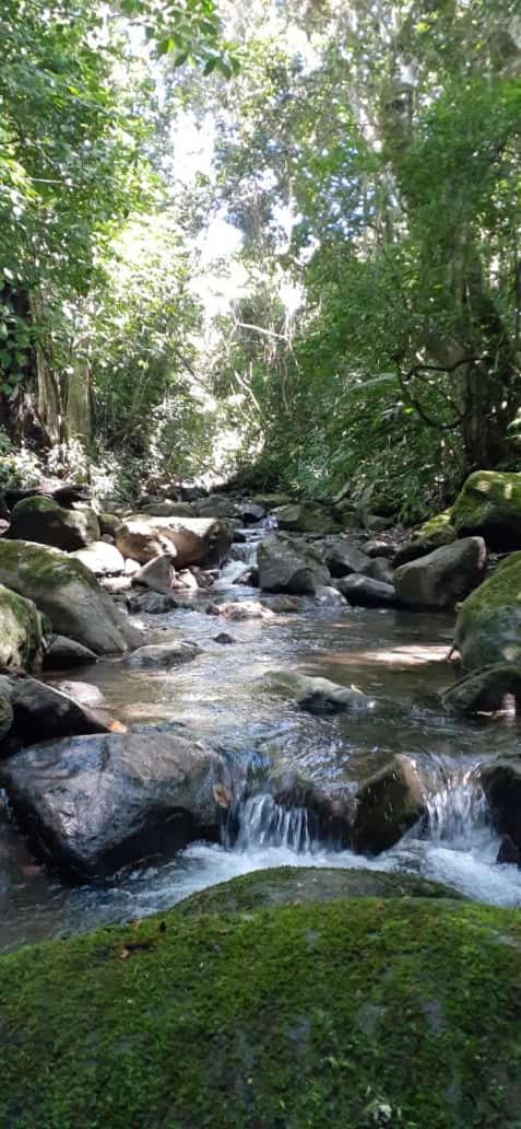 Coffee Garden Ranch Costa Rica Διαμέρισμα Concepcion  Εξωτερικό φωτογραφία