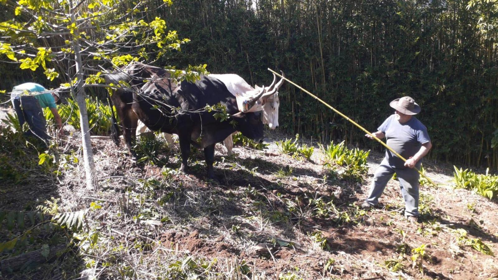 Coffee Garden Ranch Costa Rica Διαμέρισμα Concepcion  Εξωτερικό φωτογραφία