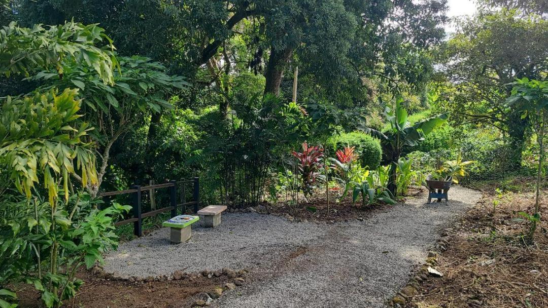 Coffee Garden Ranch Costa Rica Διαμέρισμα Concepcion  Εξωτερικό φωτογραφία