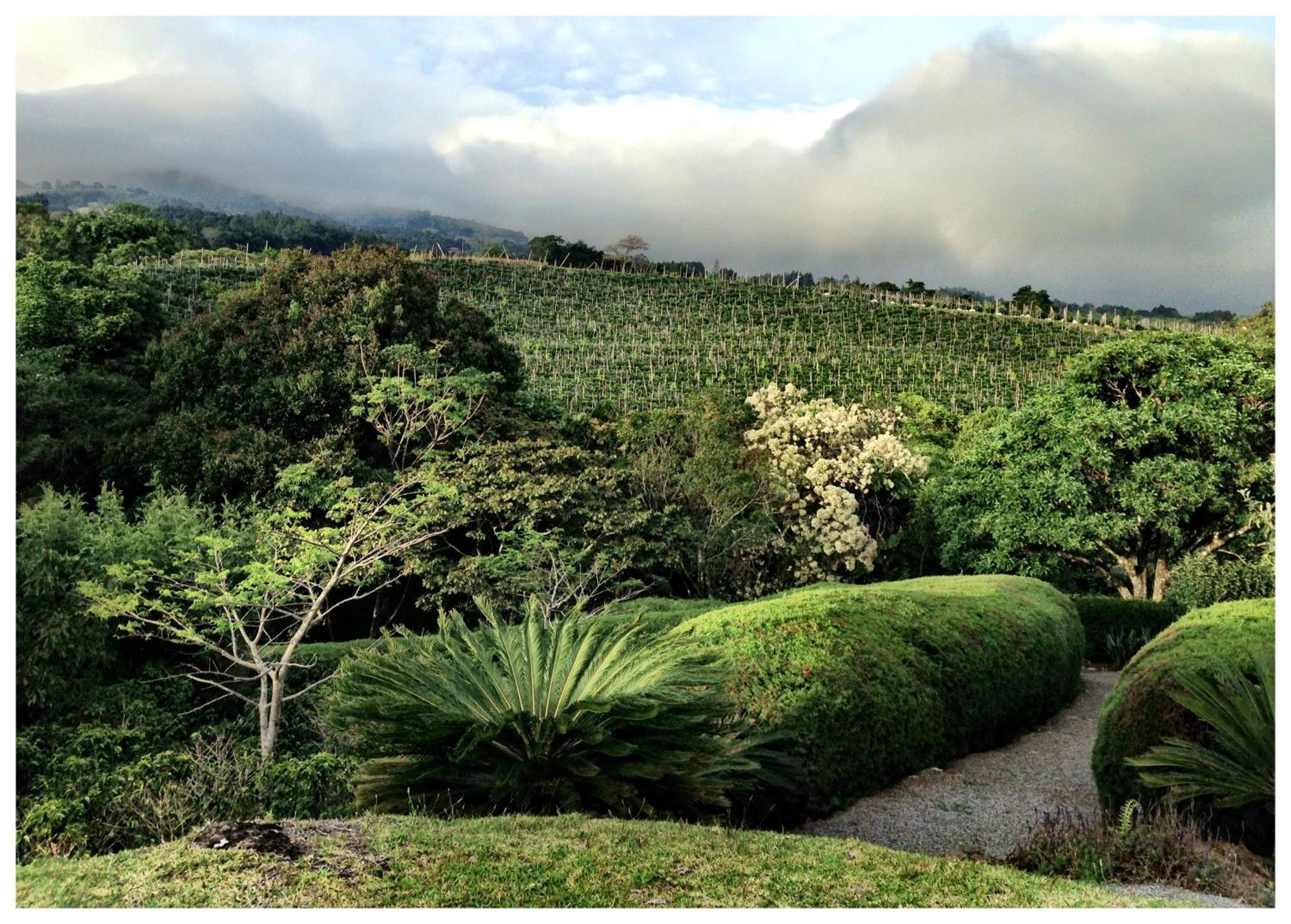 Coffee Garden Ranch Costa Rica Διαμέρισμα Concepcion  Εξωτερικό φωτογραφία